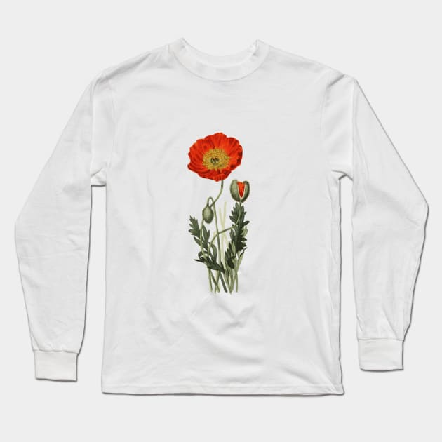 Vintage Red Poppy Flowers Long Sleeve T-Shirt by PaperMoonGifts